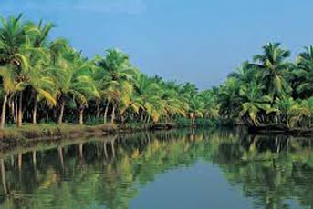 Kerala Holidays Package – Cochin, Munnar, Thekkady, Kumarakam, Alleppey, Varkala, Kovalam