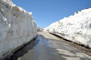 Manali - Rohtang Pass - Naggar - Manali Tour