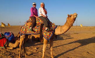 Camel Safari Tour..