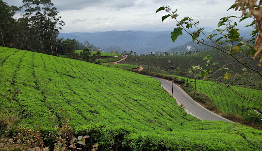 Getaway to Kerala - 5N6D