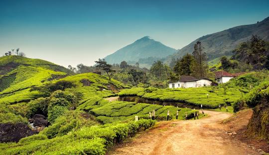 Exotic Kerala - 7N8D