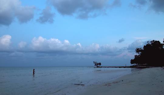 Andaman Fun filled - 6N7D