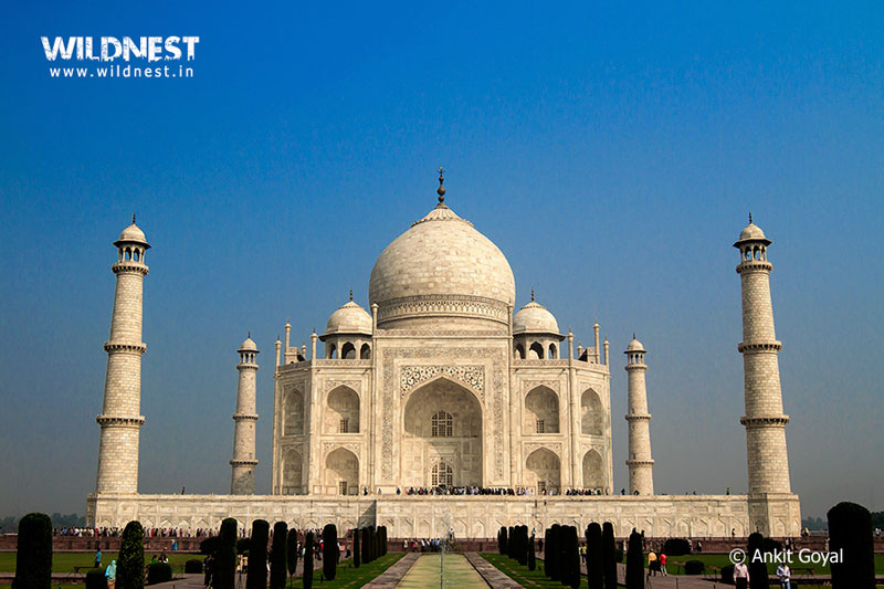 India – A Wildlife Heaven Tour