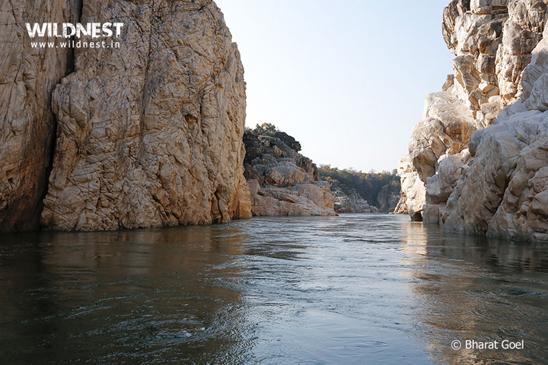 India – A Wildlife Heaven Tour