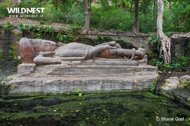 Bandhavgarh – Where The Tiger Rules