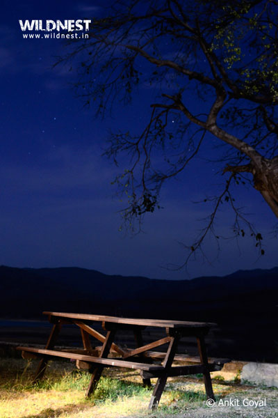 Corbett - Where Beauty Meets the Proud