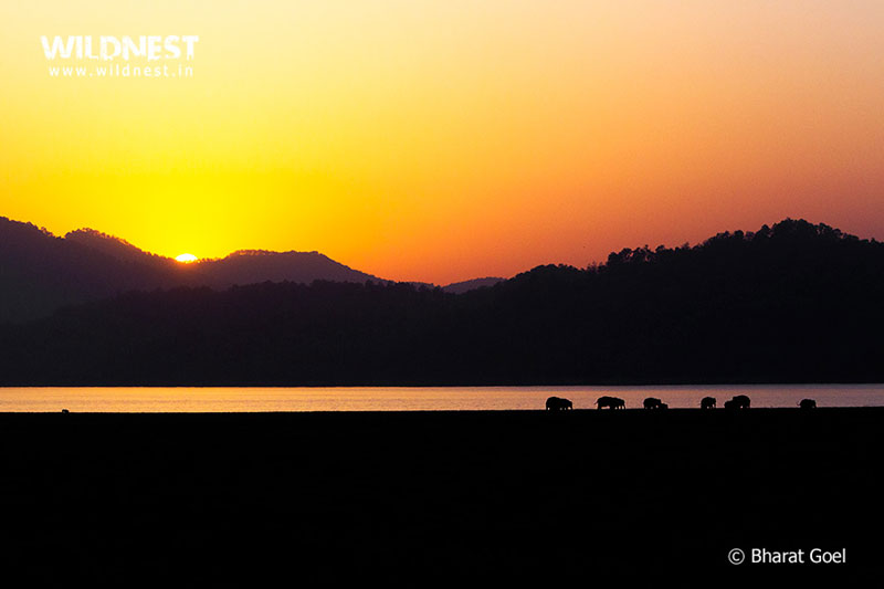 Corbett - Where Beauty Meets the Proud