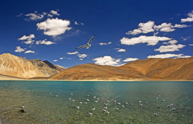 Mystic Ladakh Tour Package