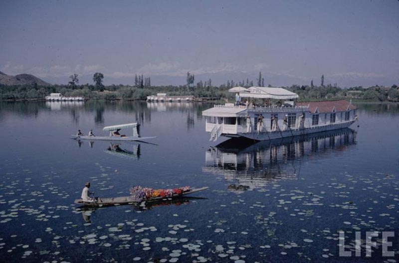 Luxury Kashmir Honeymoon Package