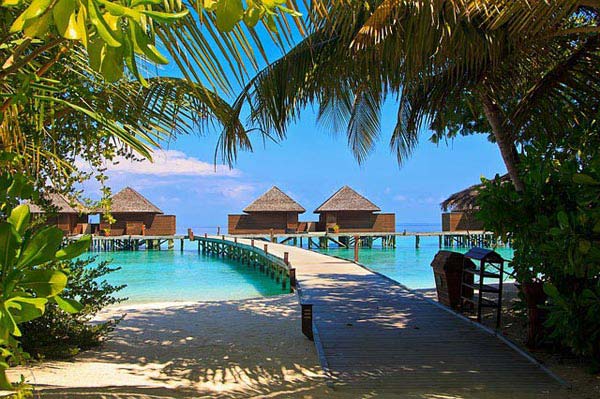 Maldives Tour Package