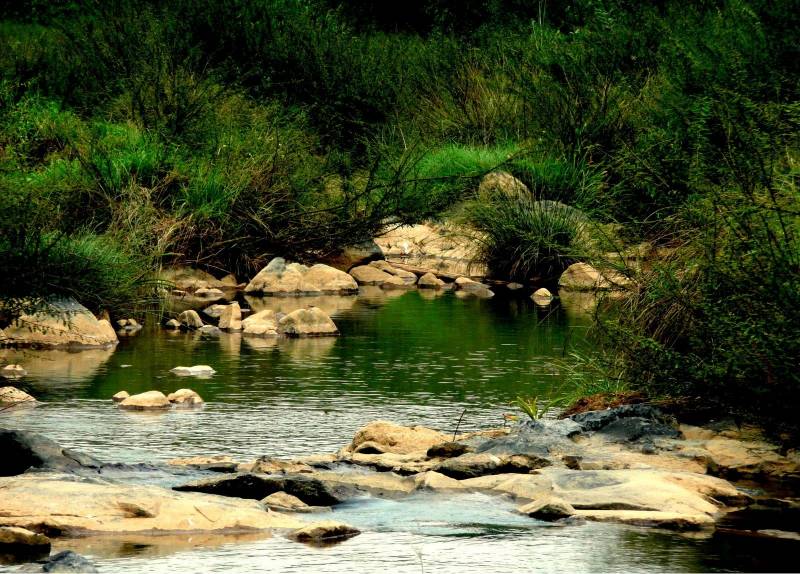 Kodaikanal Package Rs.1,999 - Agents Welcome Every Week Departures