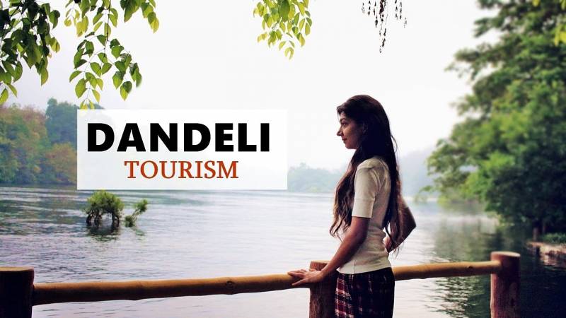 Dandeli Adbenture Jungle Safari