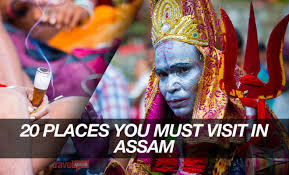 Wild Life Tour Package Assam