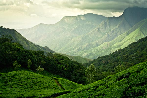 Hills Of Kerala Tour