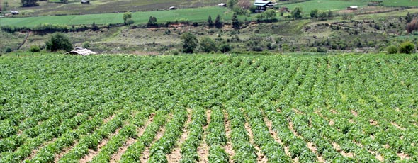 Grand Tour of Central Bhutan