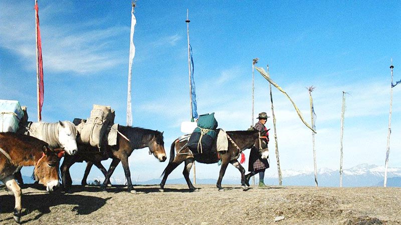 Druk Path Trekking Tour