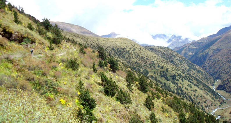 Gangtey Trekking Tour