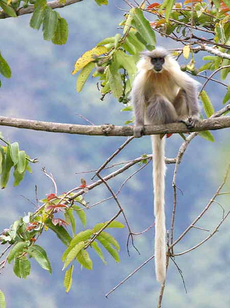 Merak Sakteng Trekking Tour