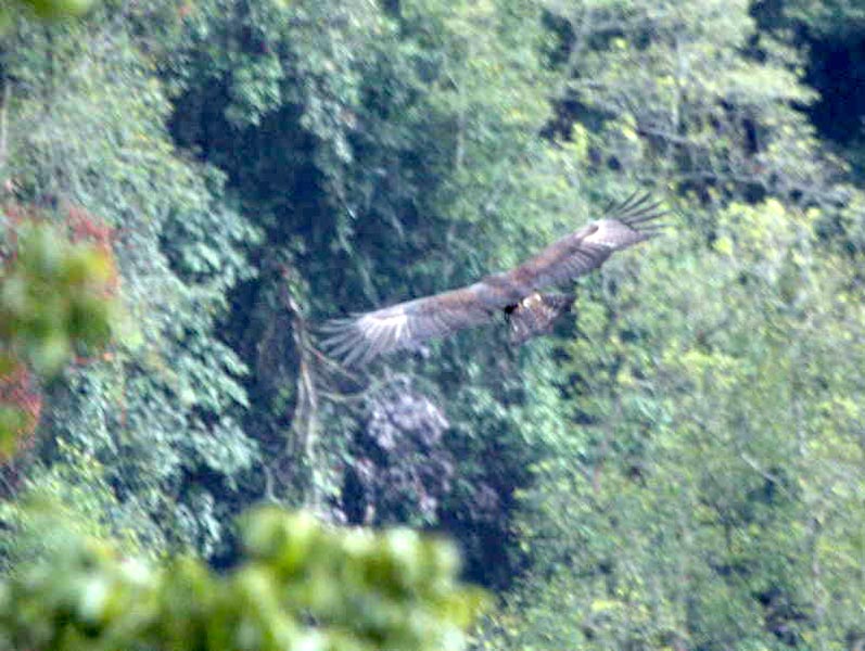 Merak Sakteng Trekking Tour