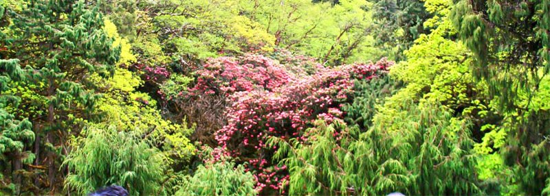 Bhutan Gomphu - Manas - Norbugang Eco Trail