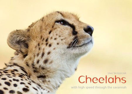 Wonders of Kenya ( Fly-Drive Safari)