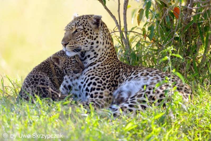 Taste of Kenya Package