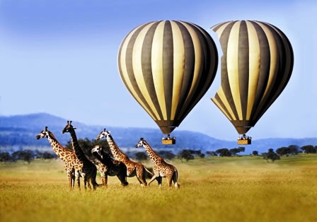 The Best of Kenya and Tanzania