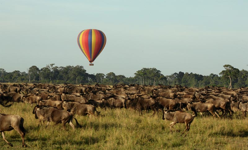 Best Of East Africa Package