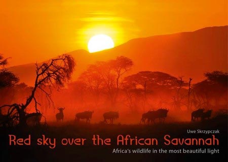 Wings of Kenya Package