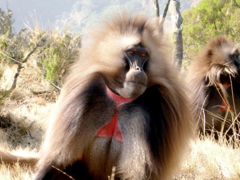 Historic Route daily Departure Tour