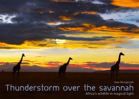 Tanzania Highlights Tour