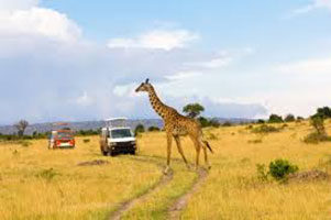 Kenya Adventure Tour