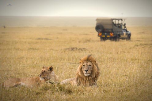 3-Day 2 Nights At Sweetwater’S / Ol Pejeta Conservancy Tour