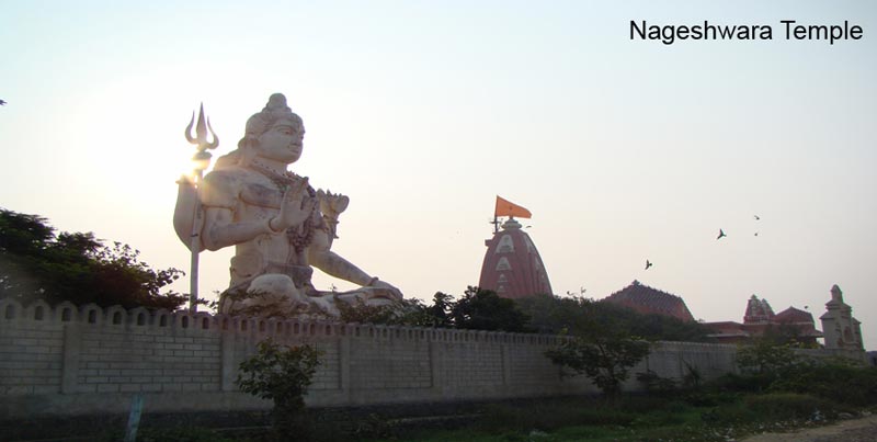 Best Dwarka Somnath Pilgrimage Package With Heritage Tour For Groups