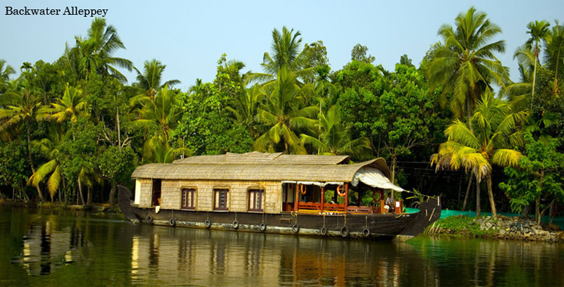 Best Group Tour Package Of Thekkady With Alleppey Backwater Kerala