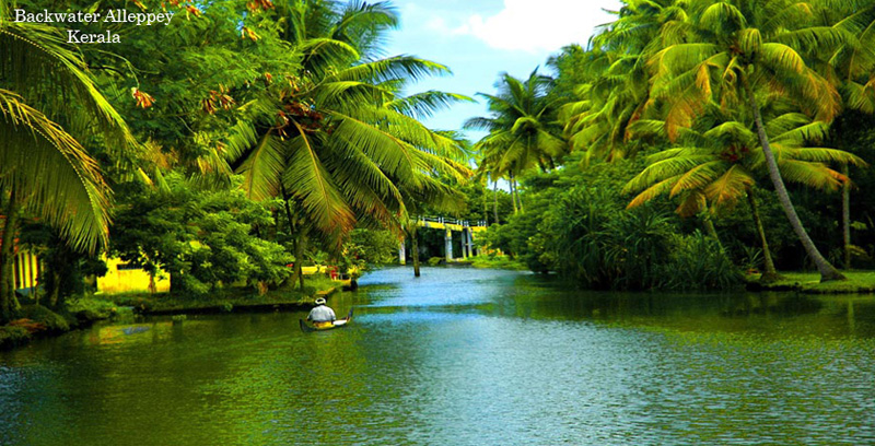 Best Group Tour Package of Thekkady with Alleppey Backwater Kerala