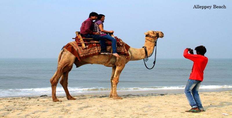 Best Group Tour Package of Thekkady with Alleppey Backwater Kerala