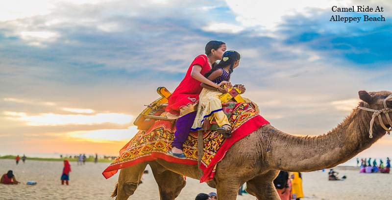 Best Group Tour Package of Thekkady with Alleppey Backwater Kerala