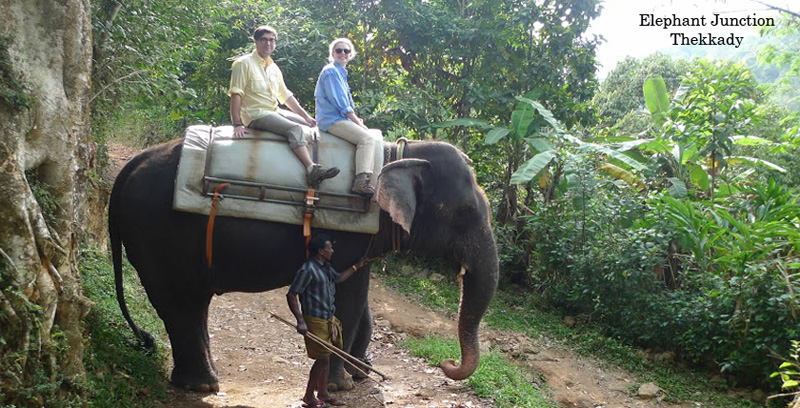 Best Group Tour Package of Thekkady with Alleppey Backwater Kerala