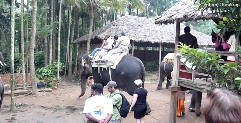 Best Group Tour Package of Thekkady with Alleppey Backwater Kerala