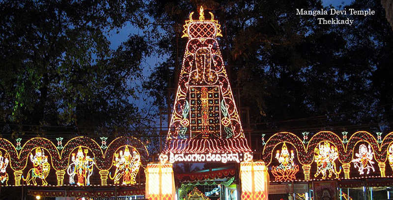 Best Group Tour Package of Thekkady with Alleppey Backwater Kerala