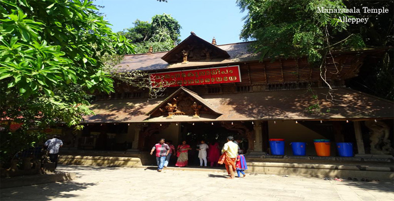 Best Group Tour Package of Thekkady with Alleppey Backwater Kerala