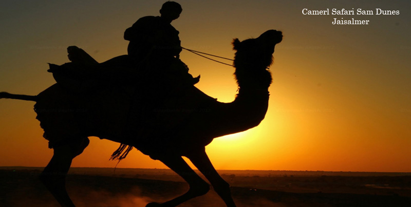 Best Budget Tour Package Of Sun City Jodhpur With Jaisalmer Rajasthan