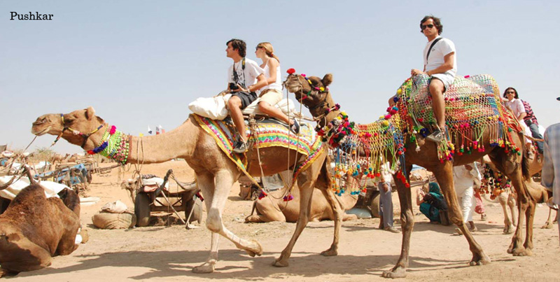 Budget Tour Package Of Pink City Jaipur With Pushkar And Mount Abu Rajasthan