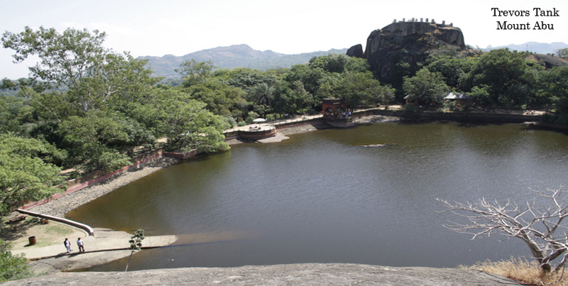 Budget Tour Package Of Pink City Jaipur With Pushkar And Mount Abu Rajasthan