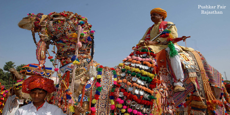 Group Tour Package Of Pink City Jaipur With Pushkar And Lake City Udaipur Rajasthan