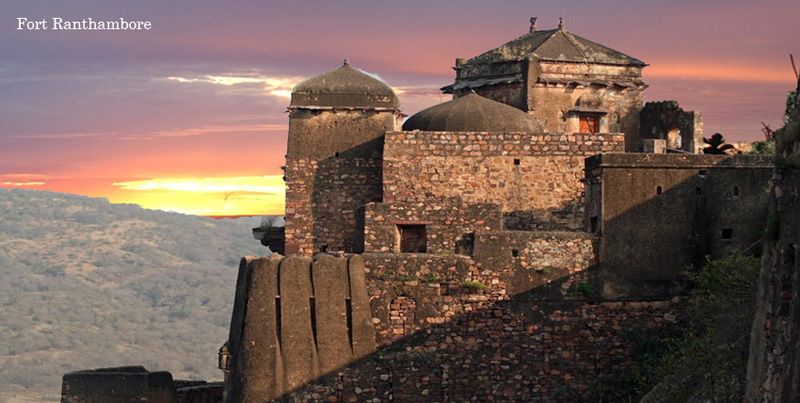 Pink City Jaipur Holiday Tour Package With Wildlife Trip Of Ranthambore