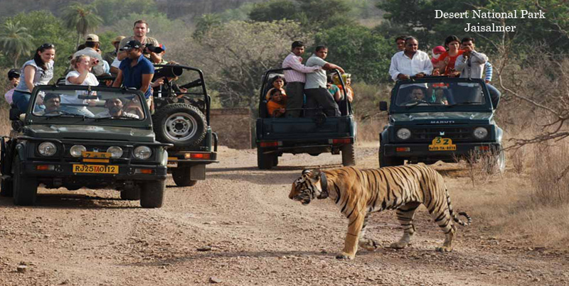 Fantastic Holiday Tour Package Of The Golden City Jaisalmer Rajasthan