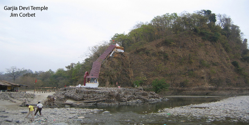 Best Package Of Flora & Fauna Of Jim-Corbett Couple