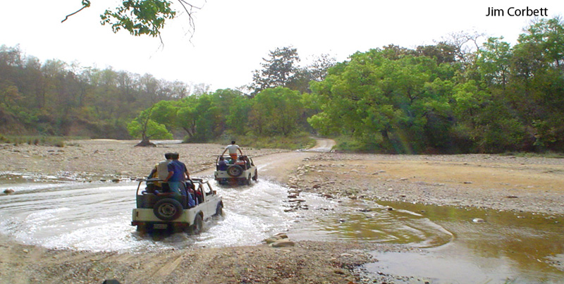 Budget Package Of Jim Corbett Uttarakhand